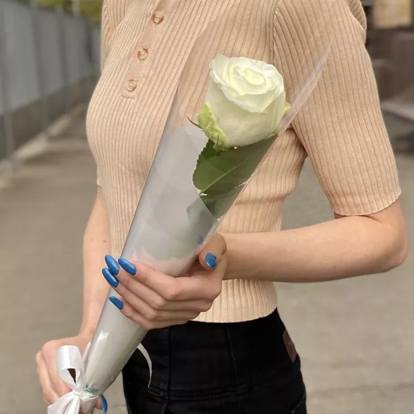 Роза белая