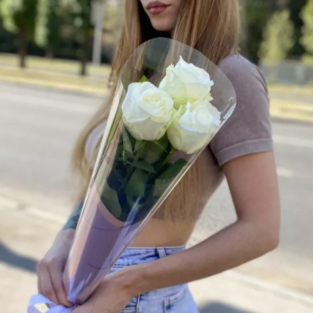 Роза белая